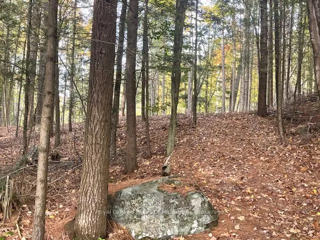 Photo 23 of Hwy 35, Algonquin Highlands, Stanhope — HOMEH