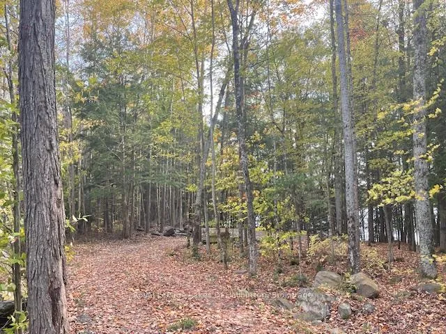 Photo 25 of Hwy 35, Algonquin Highlands, Stanhope — HOMEH