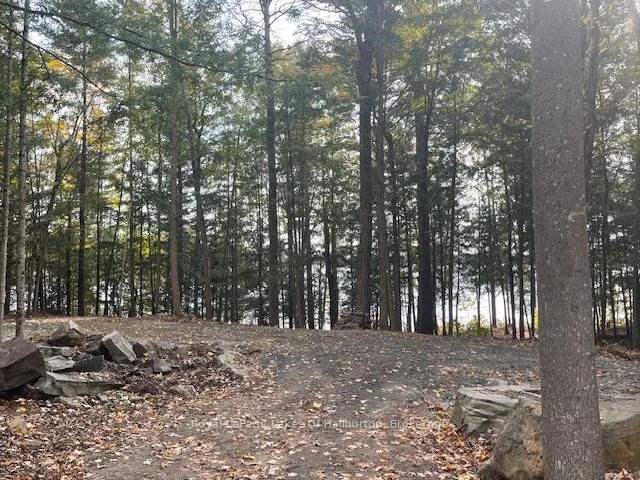 Photo 26 of Hwy 35, Algonquin Highlands, Stanhope — HOMEH