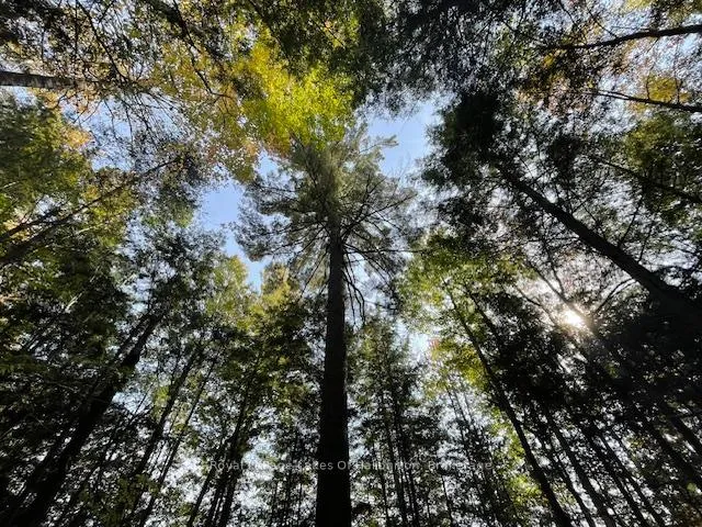 Photo 32 of Hwy 35, Algonquin Highlands, Stanhope — HOMEH