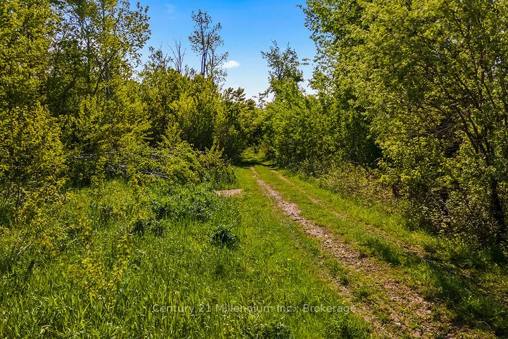 Photo 17 of 375533 6th Line, Amaranth, Rural Amaranth — HOMEH