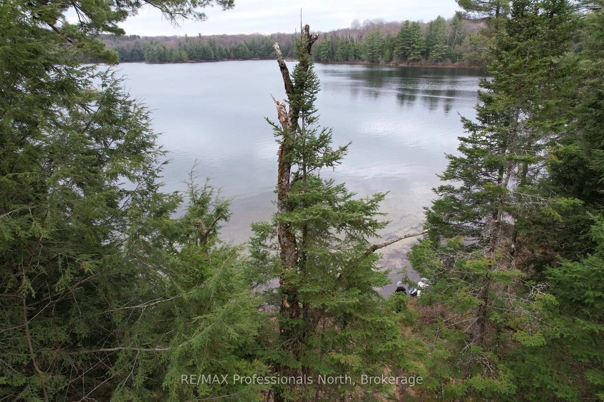 Photo 3 of 1022 Chetwynd Rd, Armour — HOMEH