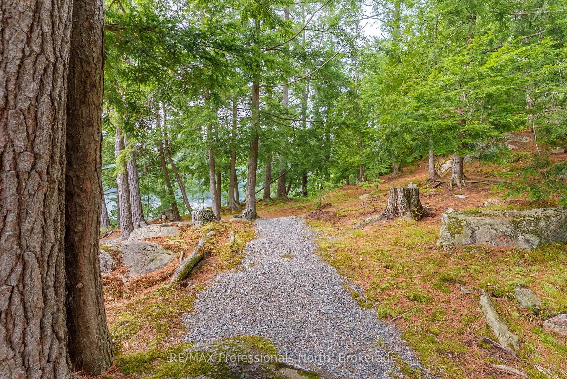 Photo 98 of 1077 Precambrian Drive N, Algonquin Highlands, Sherborne — HOMEH