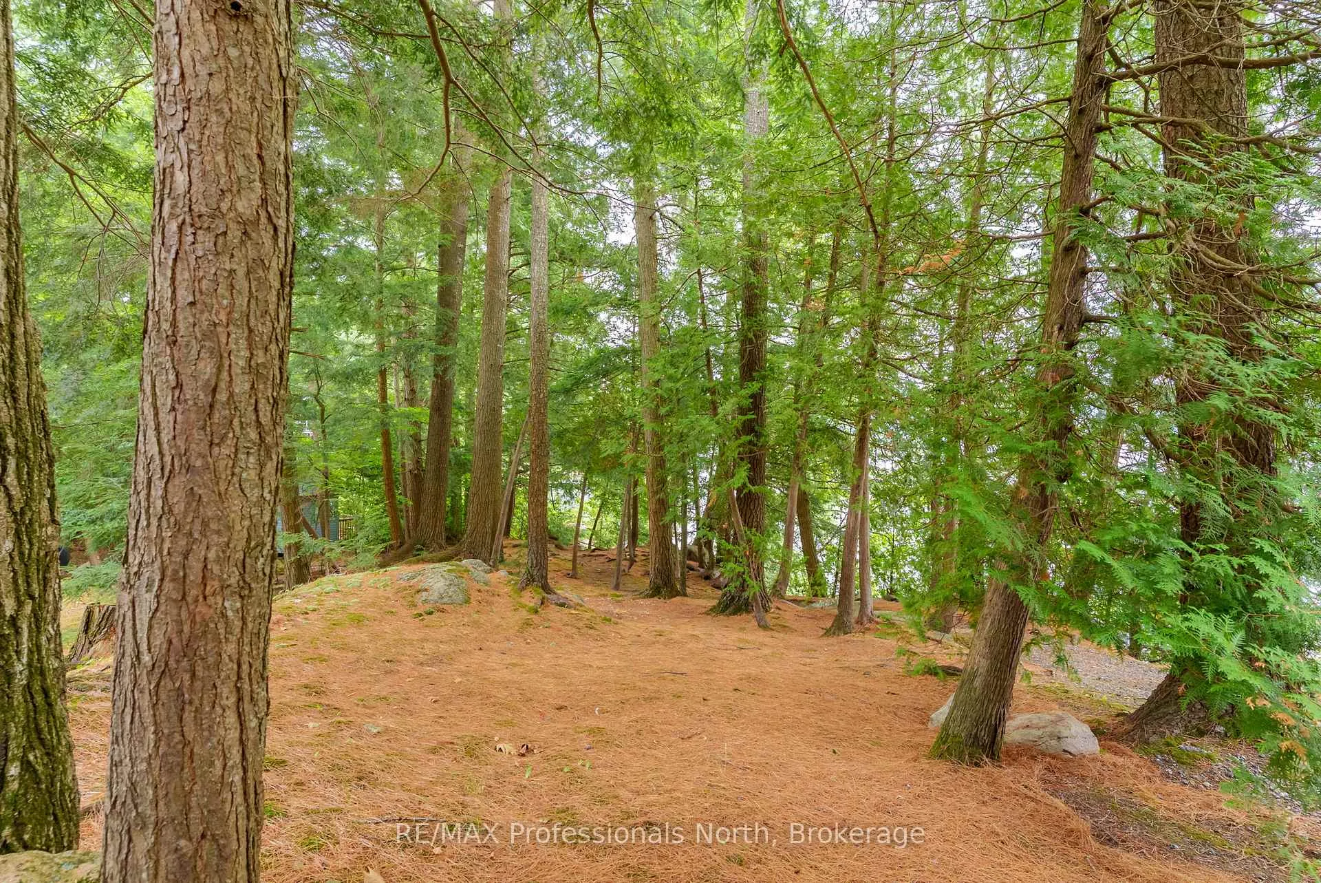 Photo 188 of 1077 Precambrian Drive N, Algonquin Highlands, Sherborne — HOMEH