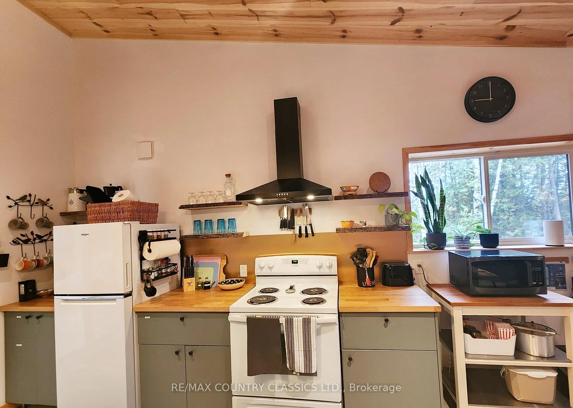 Photo 68 of 338 Detlor Road, Bancroft, Dungannon Ward — HOMEH