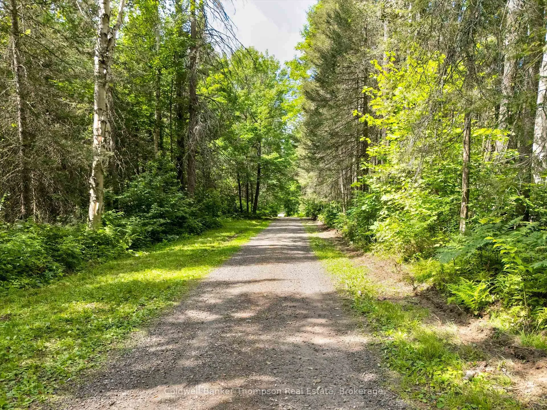 Photo 151 of 152 Clark Road, Armour — HOMEH