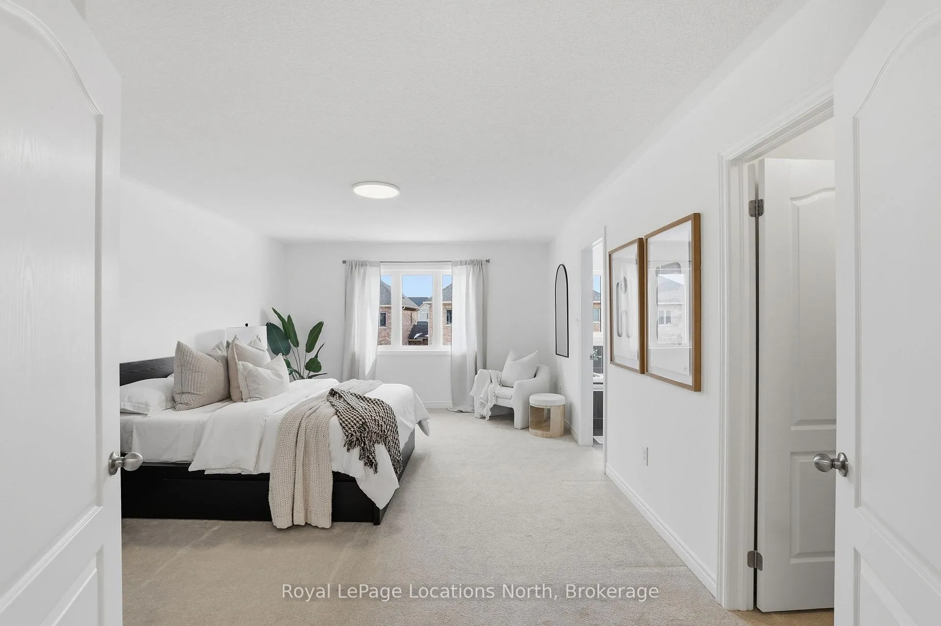 Photo 19 of 7 Albany Street, Collingwood — HOMEH
