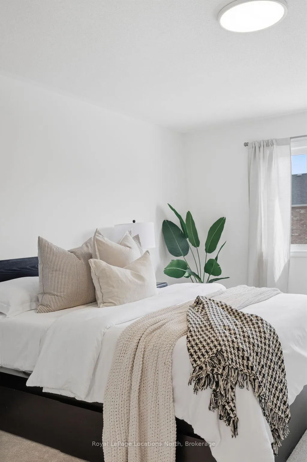Photo 22 of 7 Albany Street, Collingwood — HOMEH