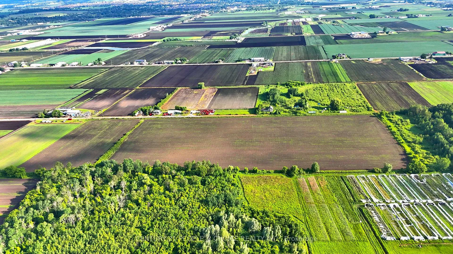 Photo 9 of 325 Lipchey Road, King, Rural King — HOMEH