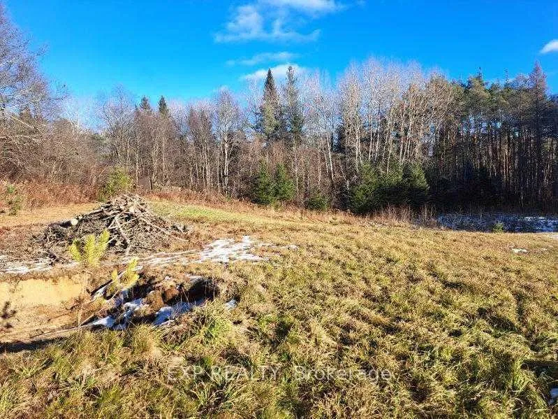 Photo 3 of 109 Three Mile Lake Road, Armour — HOMEH