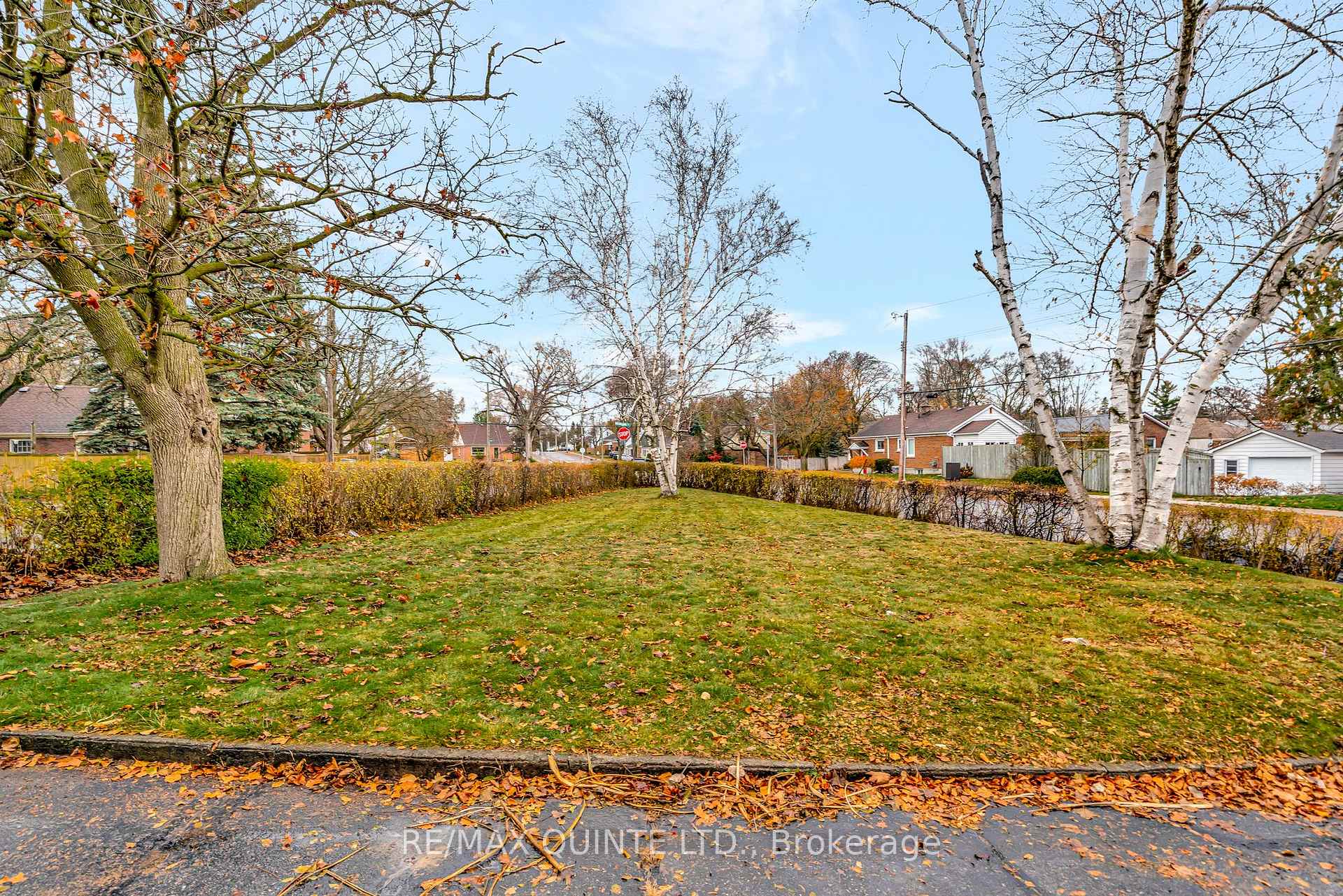 Photo 5 of 8 Greenlawn Avenue, Belleville, Belleville Ward — HOMEH