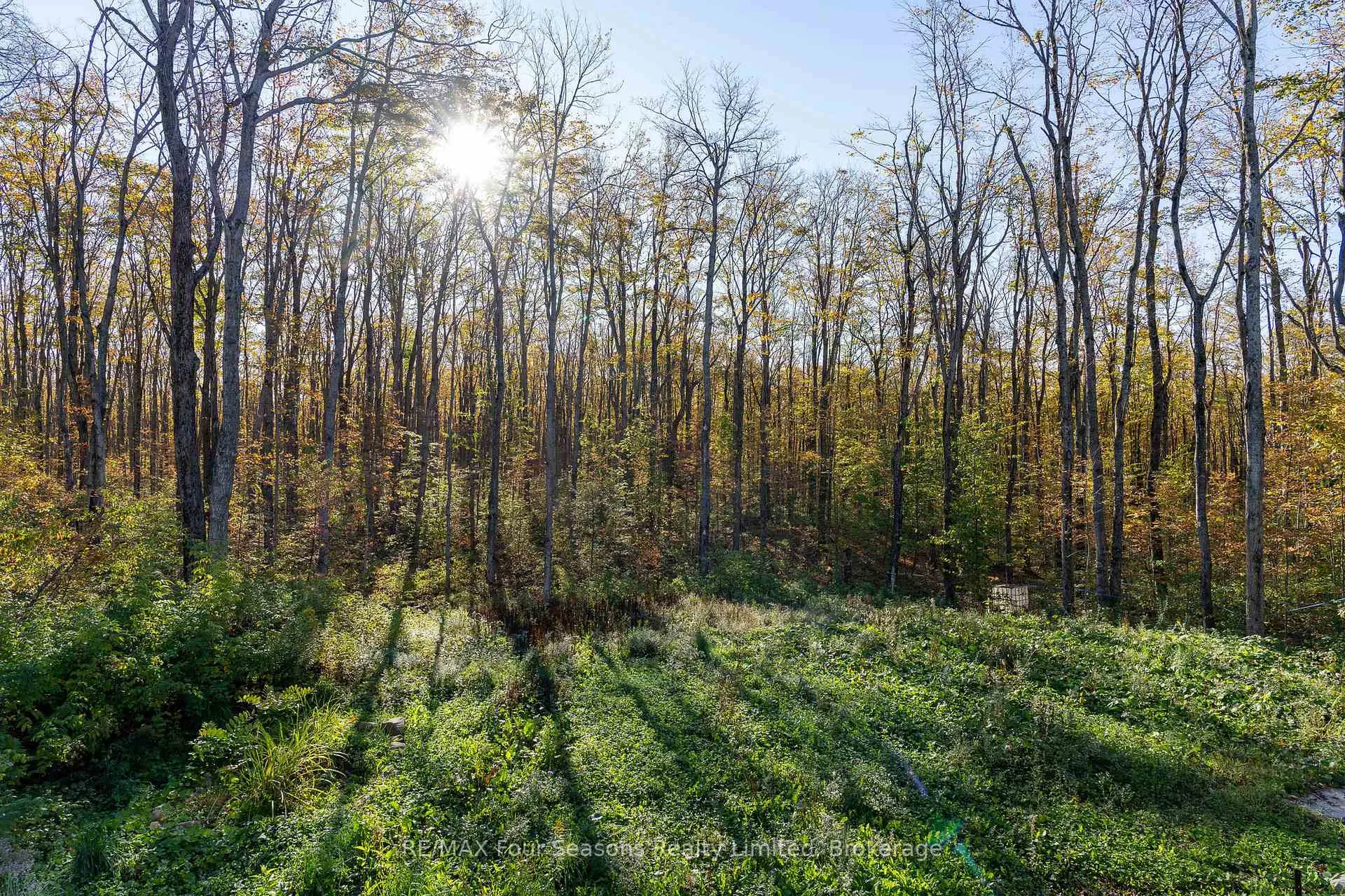 Photo 46 of 589108 Grey Road 19, Blue Mountains — HOMEH