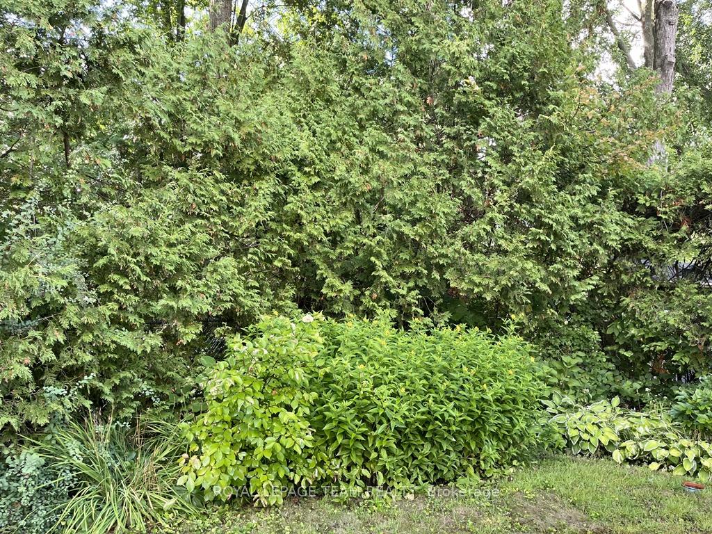 Photo 29 of 18 Diceman Crescent, Ottawa, Blackburn Hamlet — HOMEH