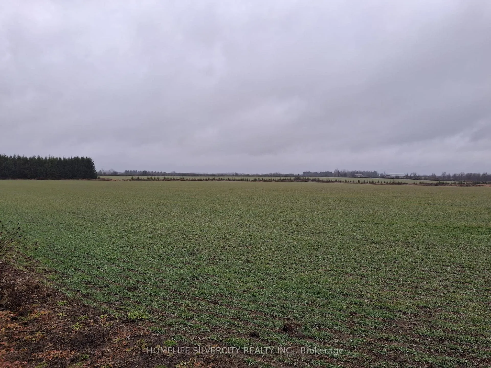 Photo 9 of 285171 County Rd 10 W, Amaranth, Rural Amaranth — HOMEH