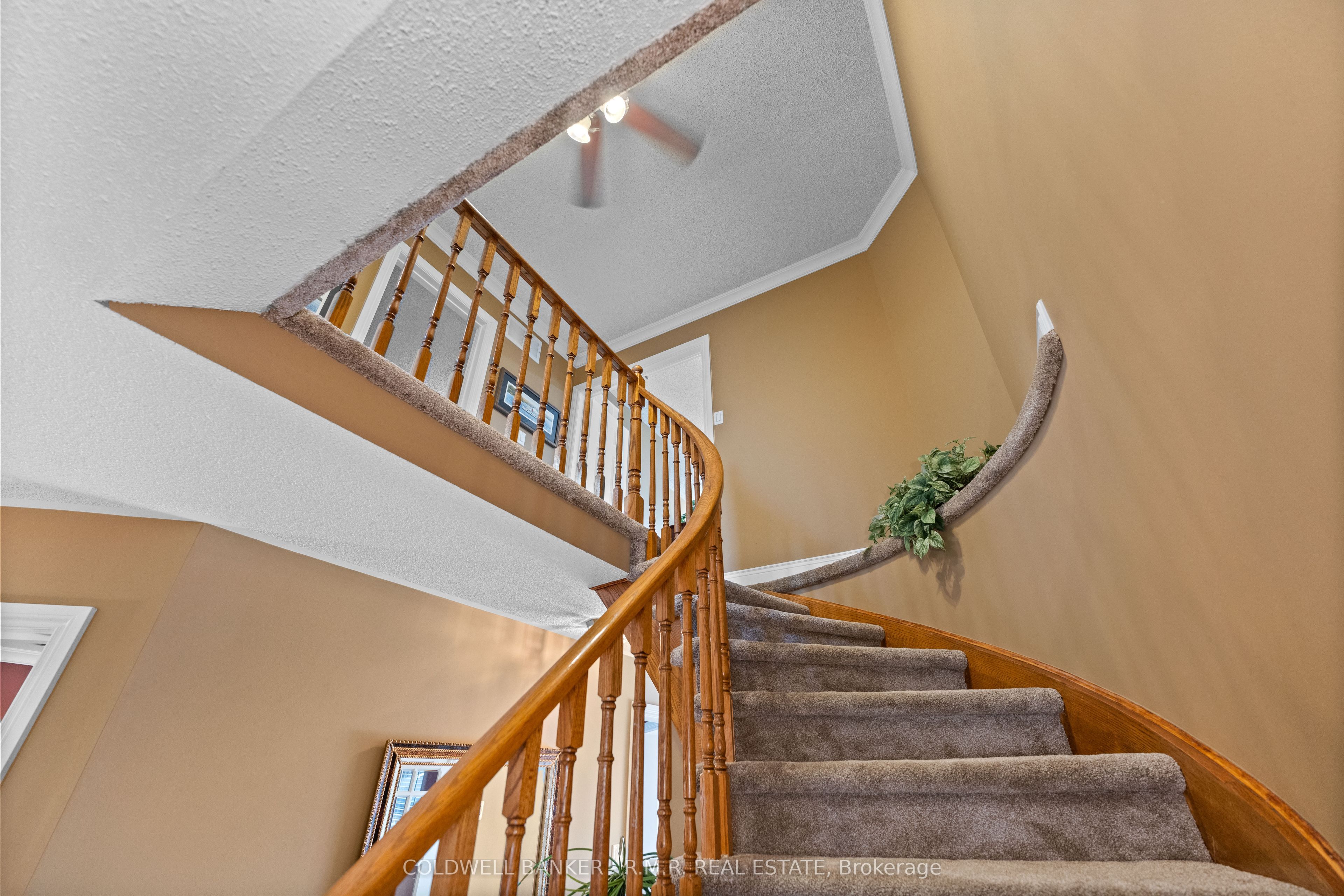 Photo 58 of 81 Willowbrook Drive, Whitby, Pringle Creek — HOMEH