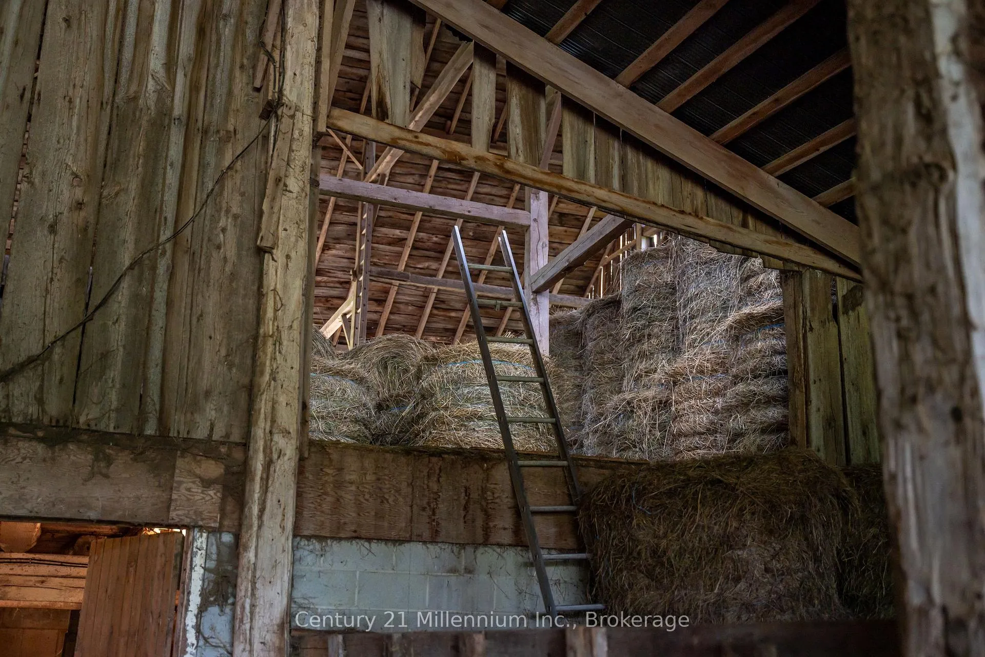 Photo 12 of 21 Station Street, Amaranth, Rural Amaranth — HOMEH