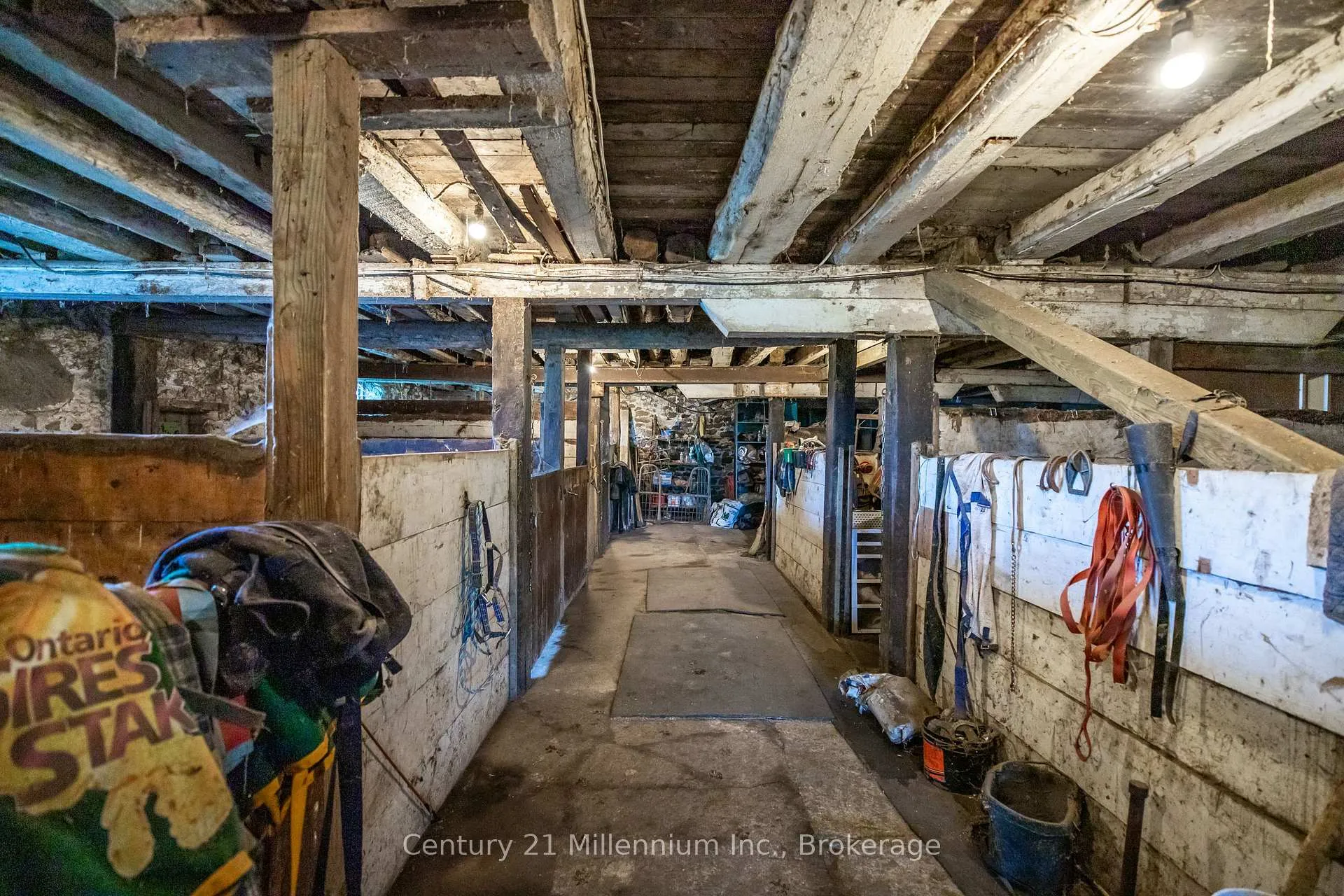 Photo 23 of 21 Station Street, Amaranth, Rural Amaranth — HOMEH