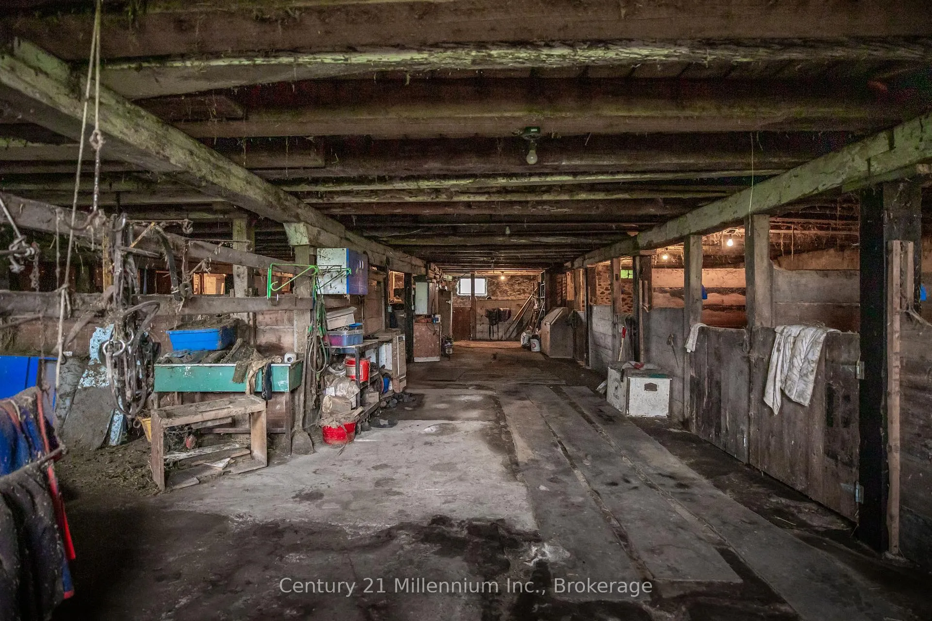 Photo 28 of 21 Station Street, Amaranth, Rural Amaranth — HOMEH