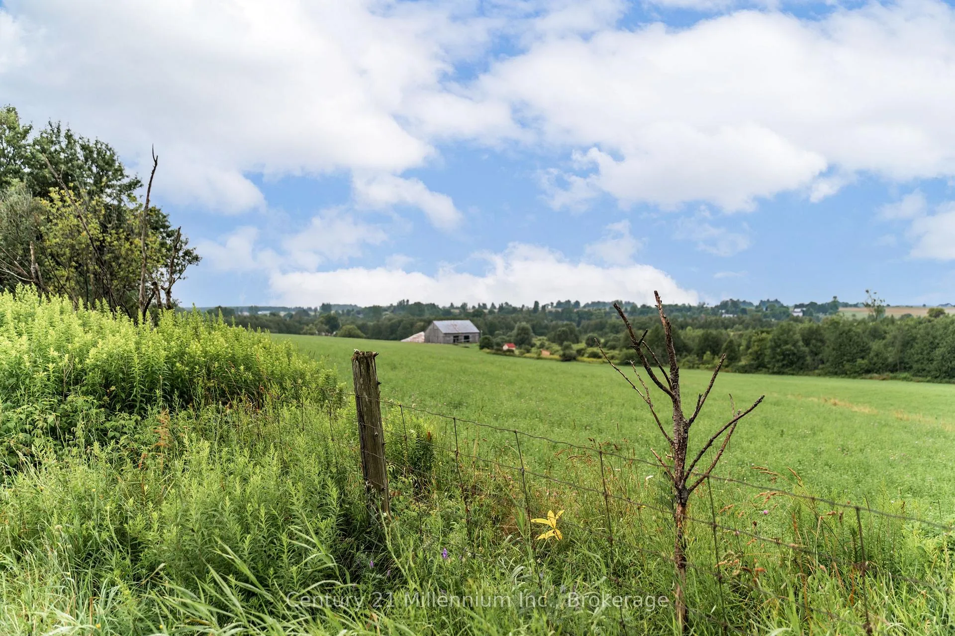 Photo 38 of 21 Station Street, Amaranth, Rural Amaranth — HOMEH