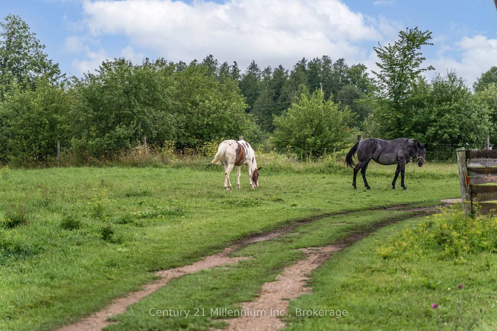 Photo 37 of 21 Station Street, Amaranth, Rural Amaranth — HOMEH