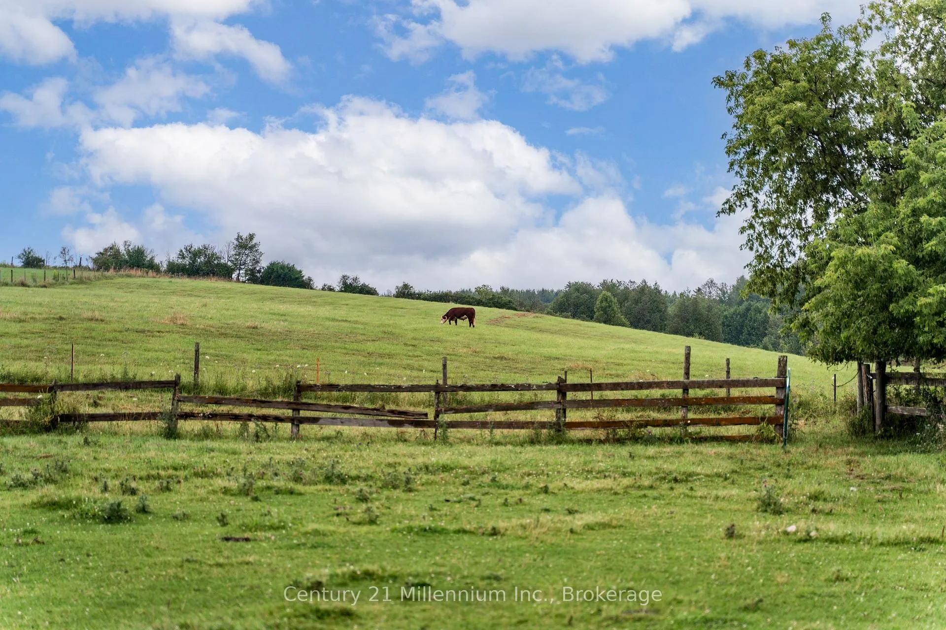 Photo 40 of 21 Station Street, Amaranth, Rural Amaranth — HOMEH