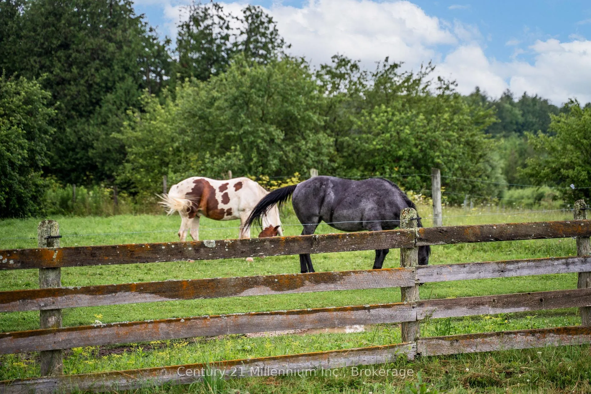 Photo 41 of 21 Station Street, Amaranth, Rural Amaranth — HOMEH