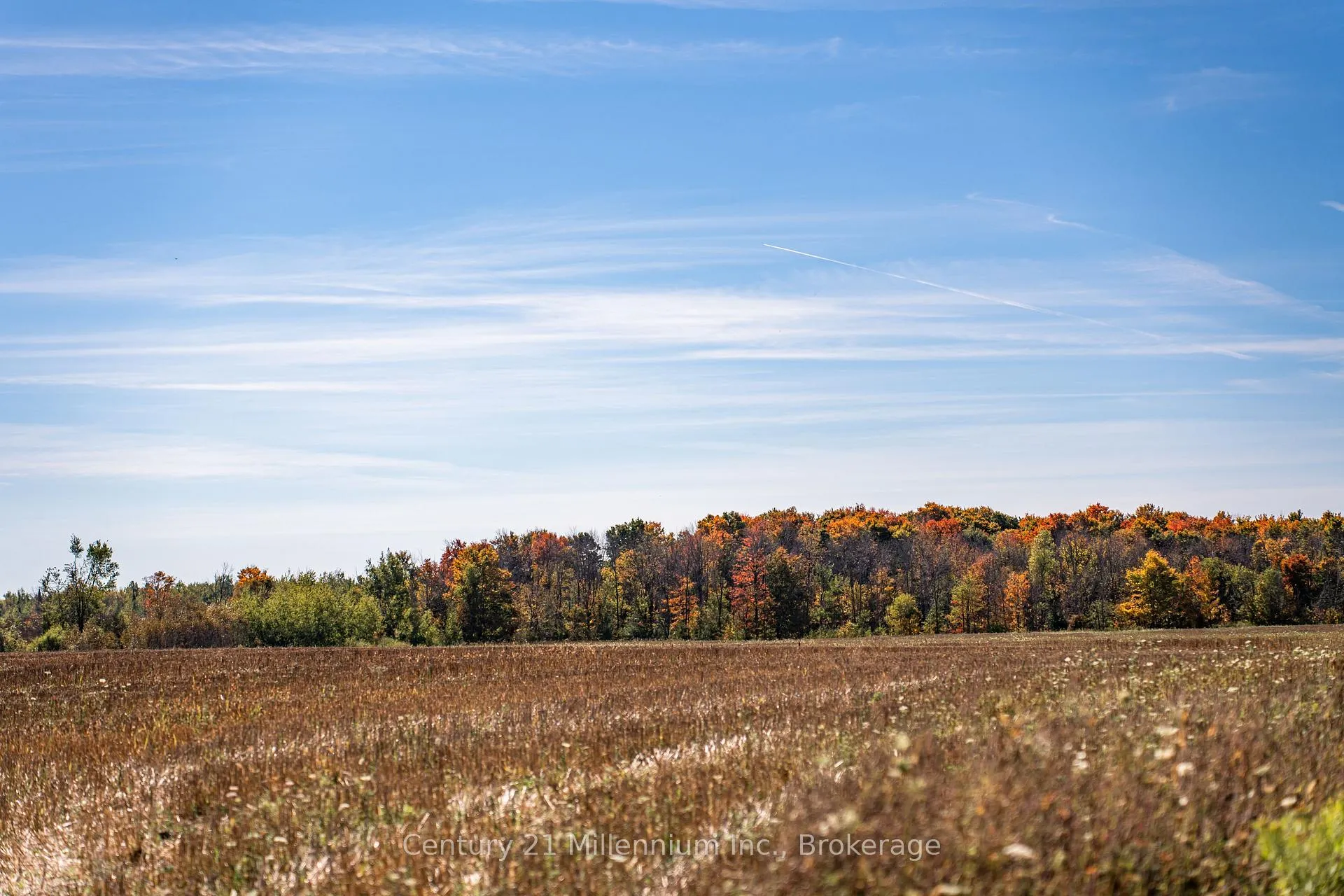 Photo 30 of 374518 6th Line, Amaranth, Rural Amaranth — HOMEH