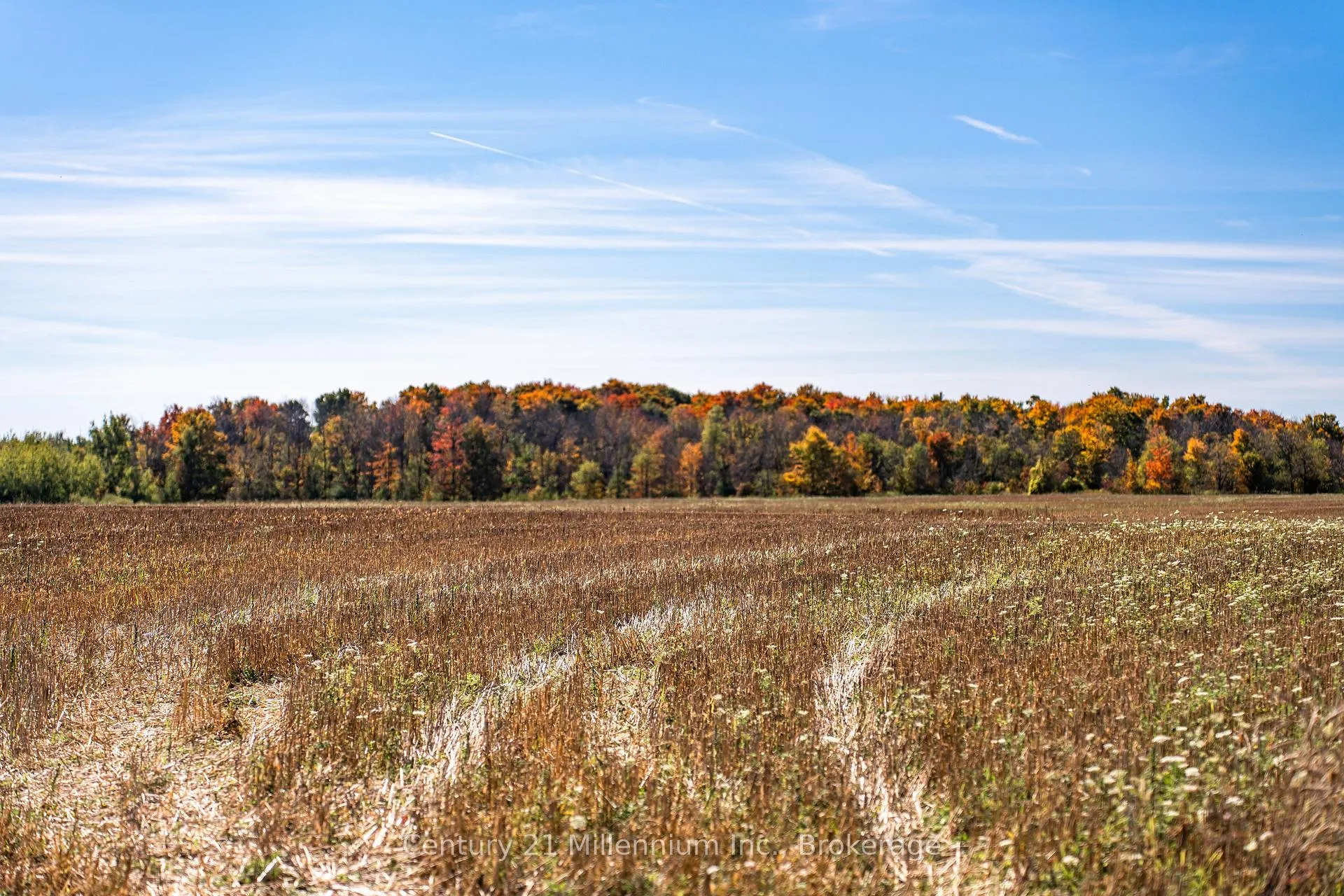 Photo 31 of 374518 6th Line, Amaranth, Rural Amaranth — HOMEH