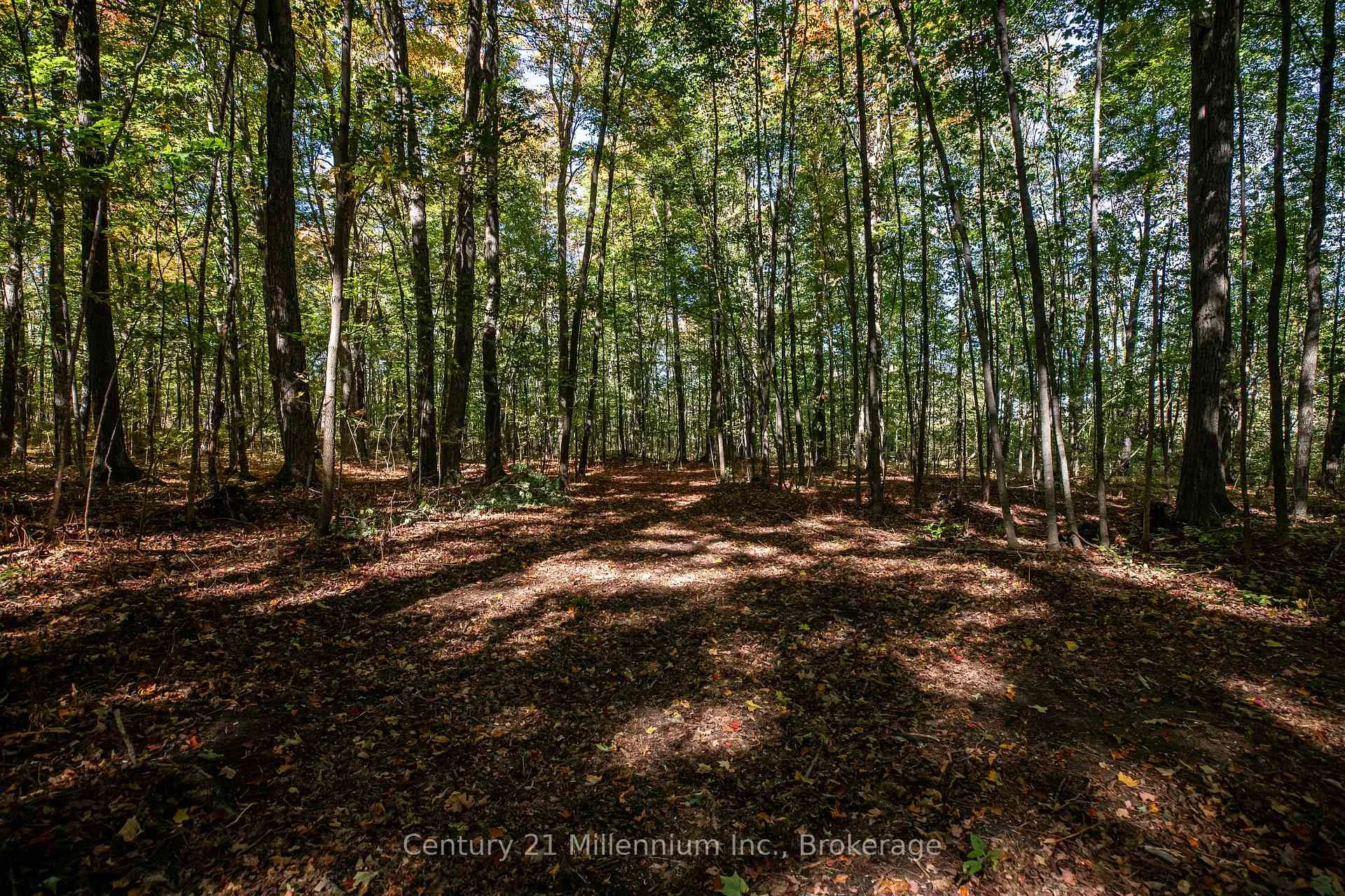 Photo 32 of 374518 6th Line, Amaranth, Rural Amaranth — HOMEH