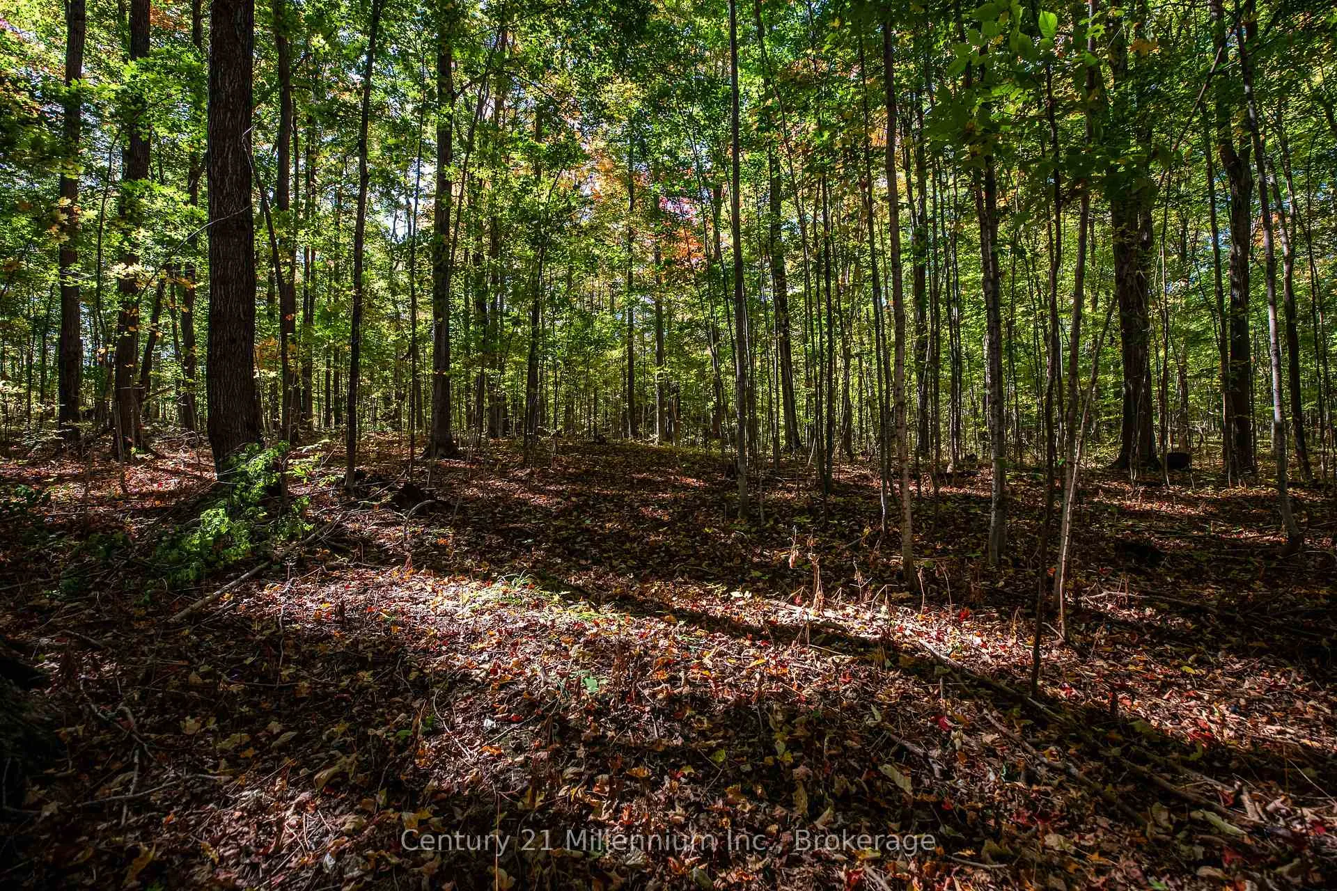 Photo 33 of 374518 6th Line, Amaranth, Rural Amaranth — HOMEH