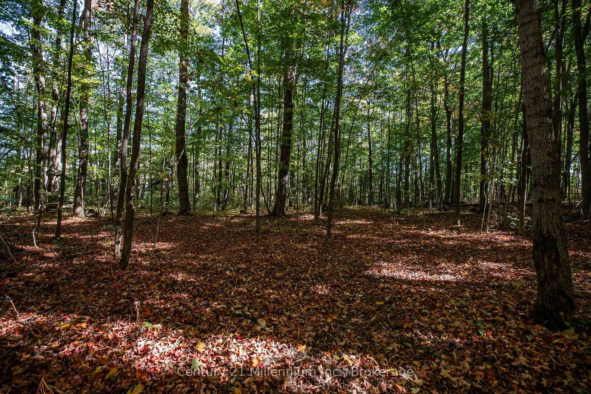 Photo 34 of 374518 6th Line, Amaranth, Rural Amaranth — HOMEH