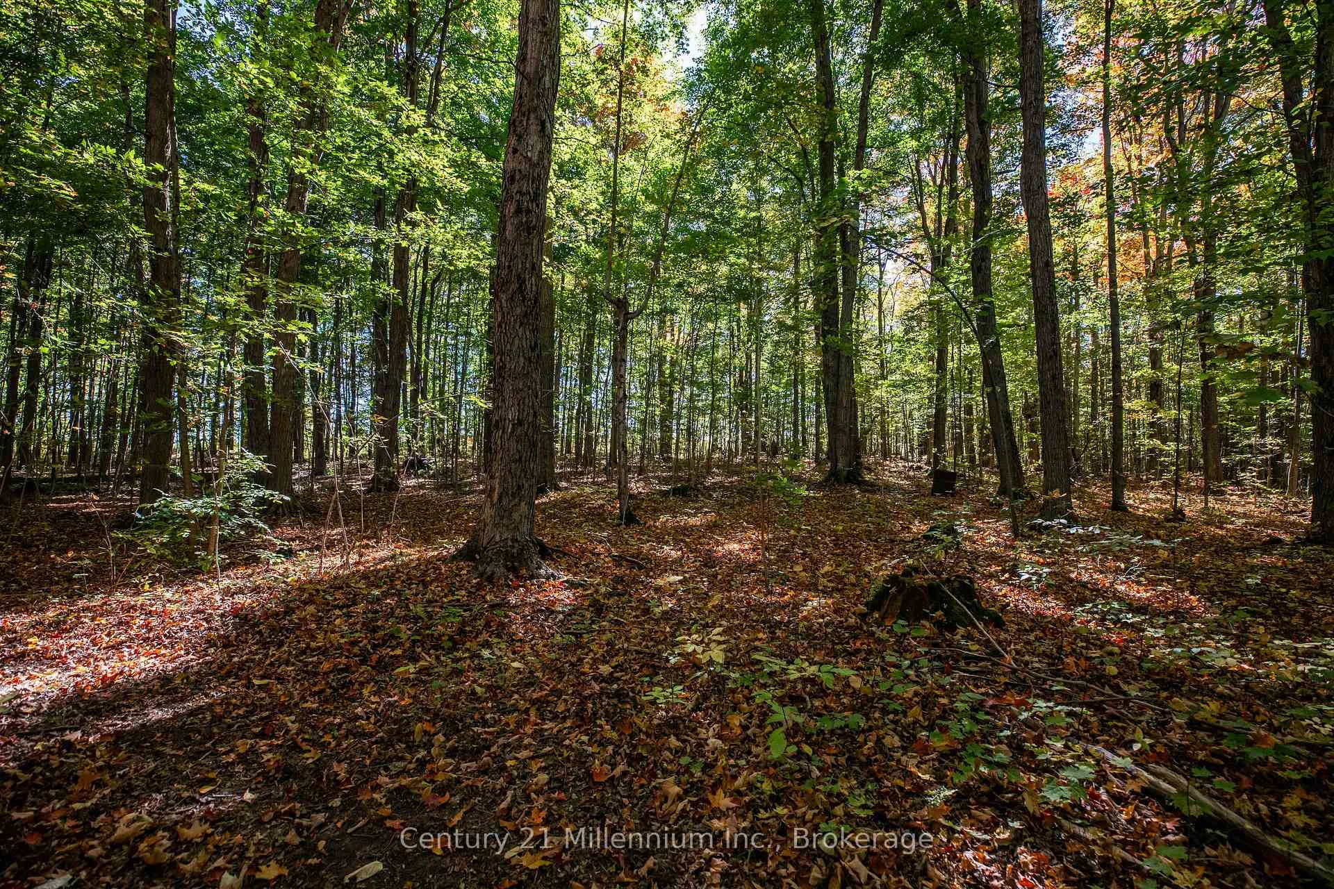 Photo 35 of 374518 6th Line, Amaranth, Rural Amaranth — HOMEH