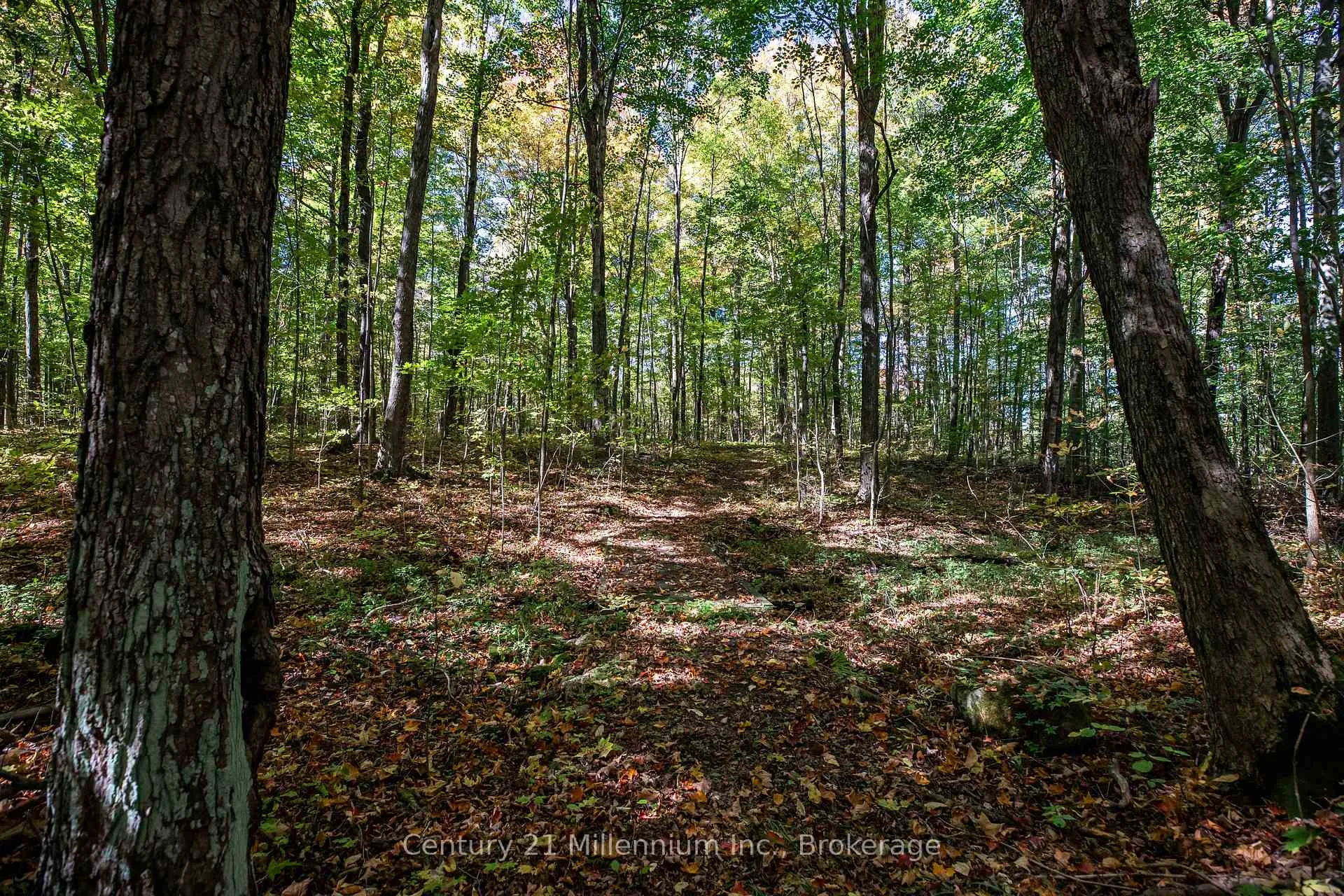Photo 39 of 374518 6th Line, Amaranth, Rural Amaranth — HOMEH