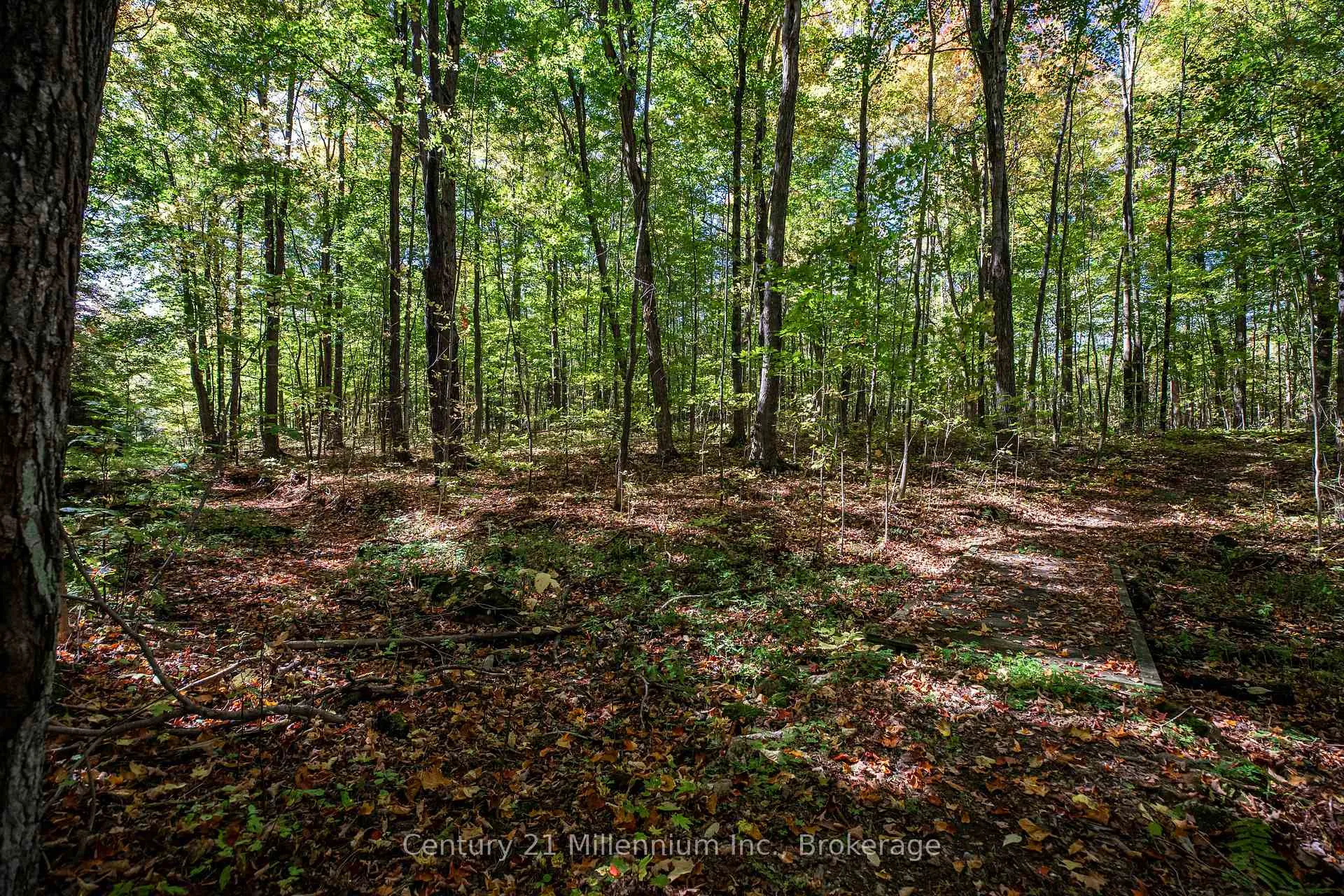 Photo 40 of 374518 6th Line, Amaranth, Rural Amaranth — HOMEH