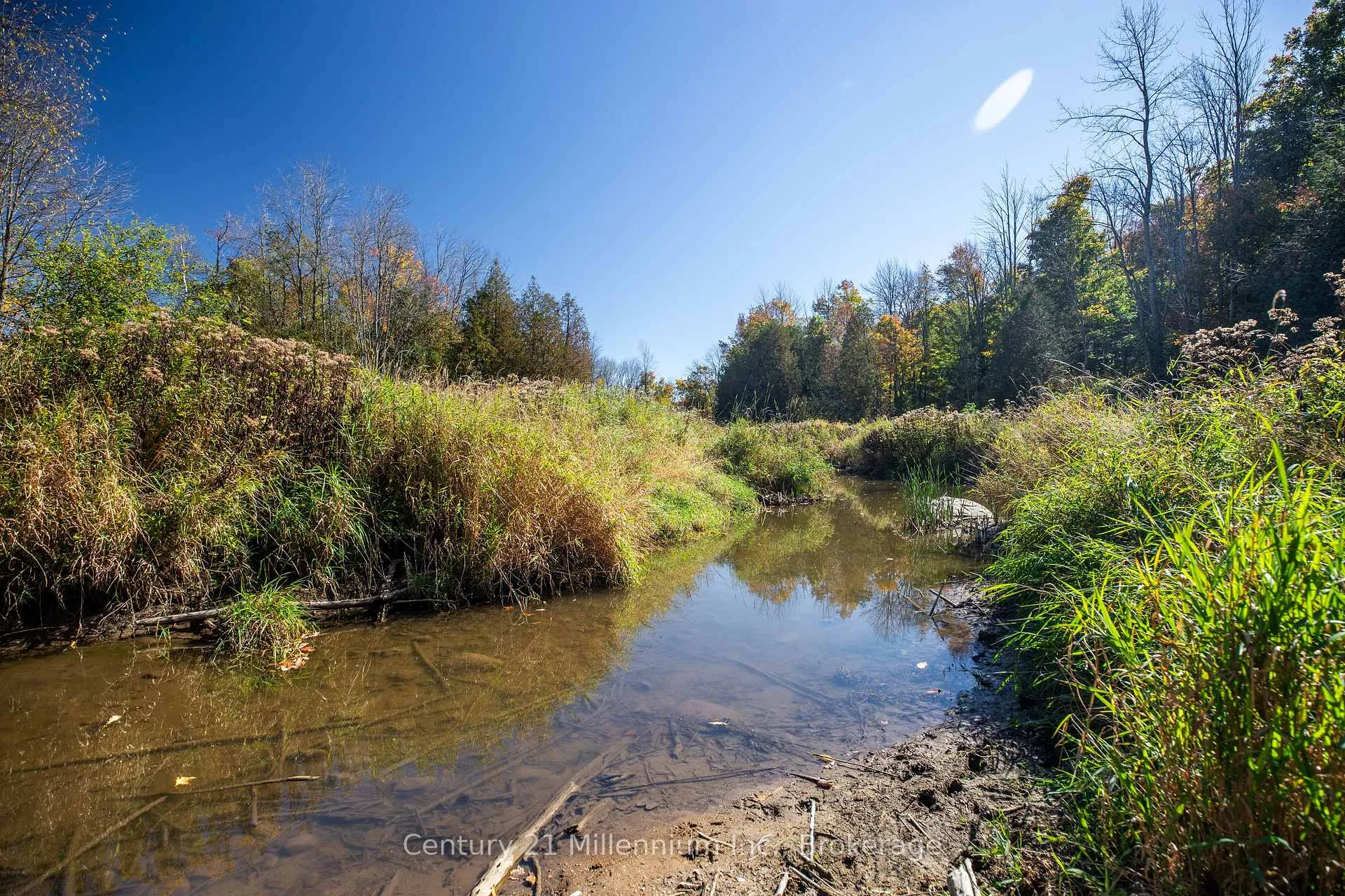Photo 42 of 374518 6th Line, Amaranth, Rural Amaranth — HOMEH