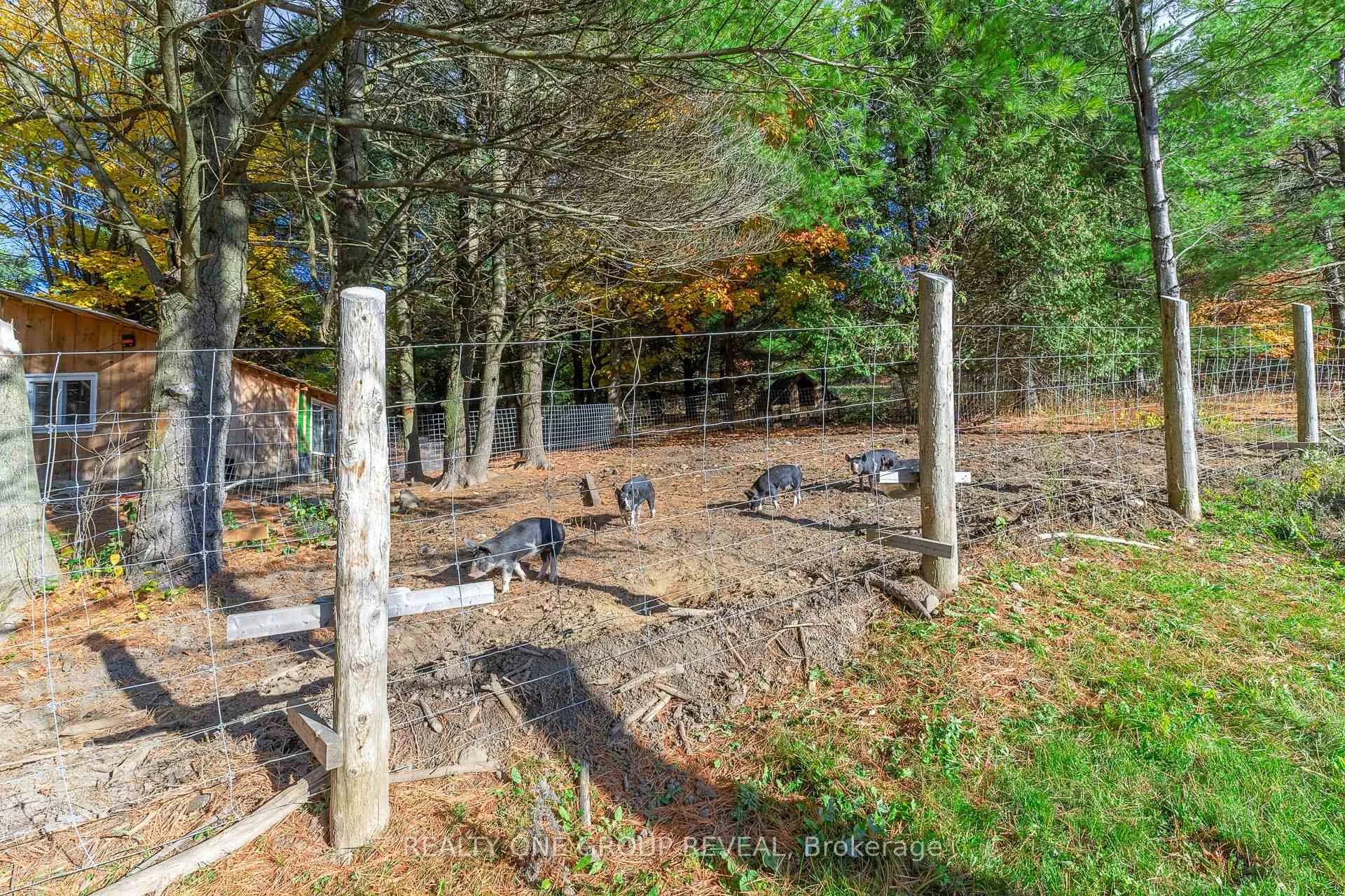 Photo 32 of 1179 County 23 Road, Alnwick/Haldimand, Rural Alnwick/Haldimand — HOMEH