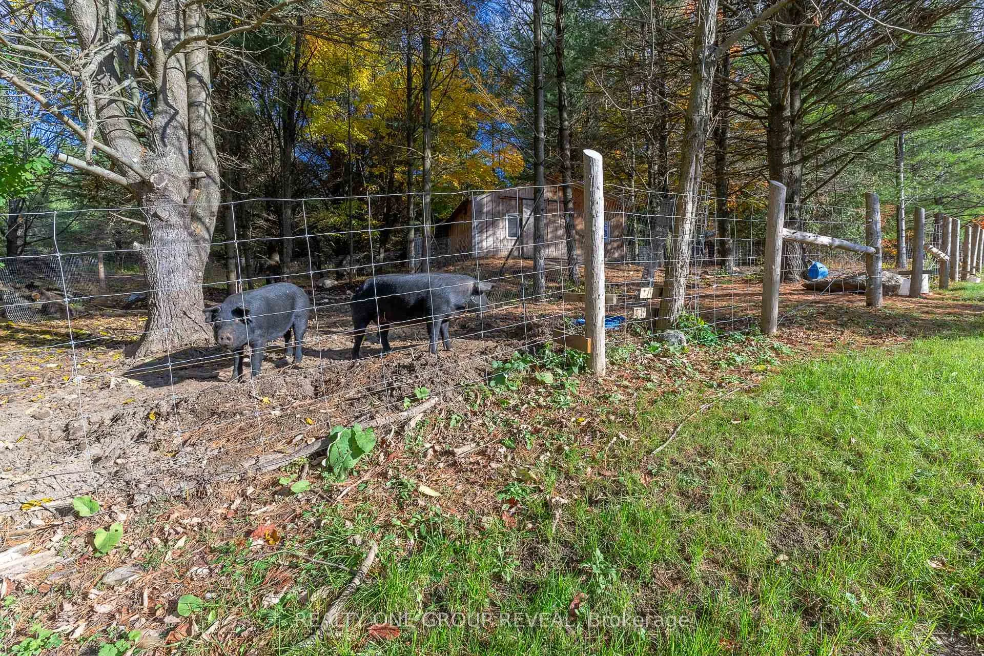 Photo 35 of 1179 County 23 Road, Alnwick/Haldimand, Rural Alnwick/Haldimand — HOMEH
