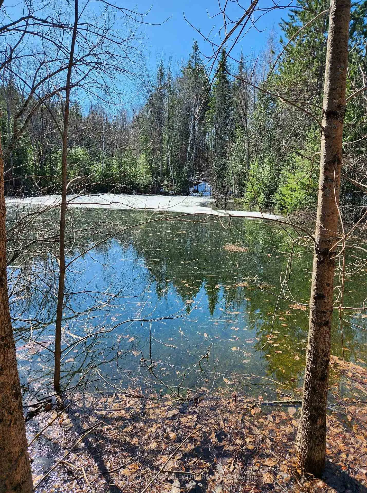 Photo 87 of 25442 Highway 62, Bancroft, Dungannon Ward — HOMEH