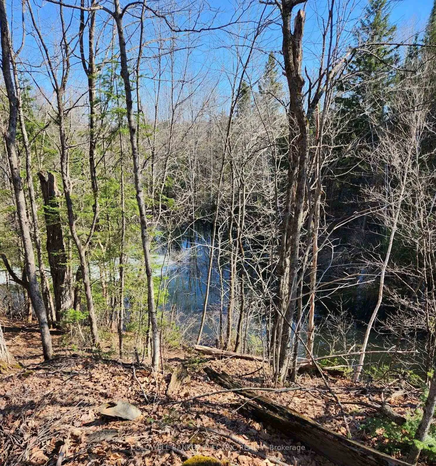 Photo 120 of 25442 Highway 62, Bancroft, Dungannon Ward — HOMEH