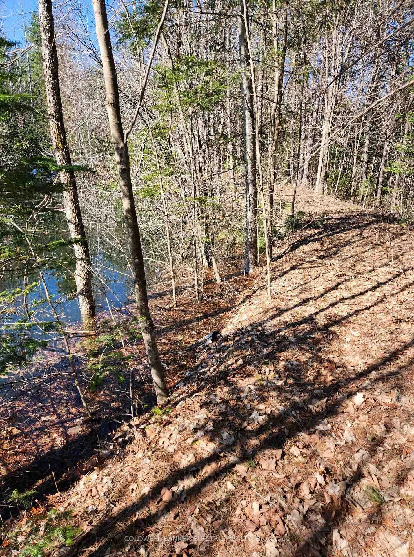 Photo 147 of 25442 Highway 62, Bancroft, Dungannon Ward — HOMEH