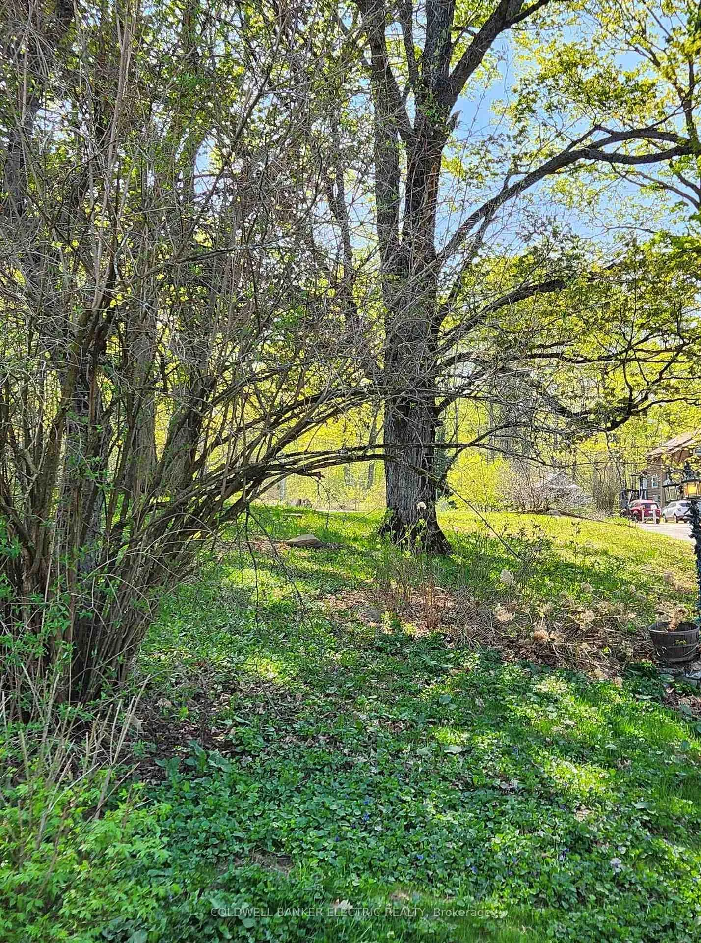 Photo 201 of 25442 Highway 62, Bancroft, Dungannon Ward — HOMEH