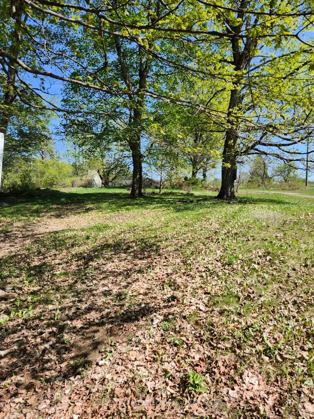 Photo 612 of 25442 Highway 62, Bancroft, Dungannon Ward — HOMEH