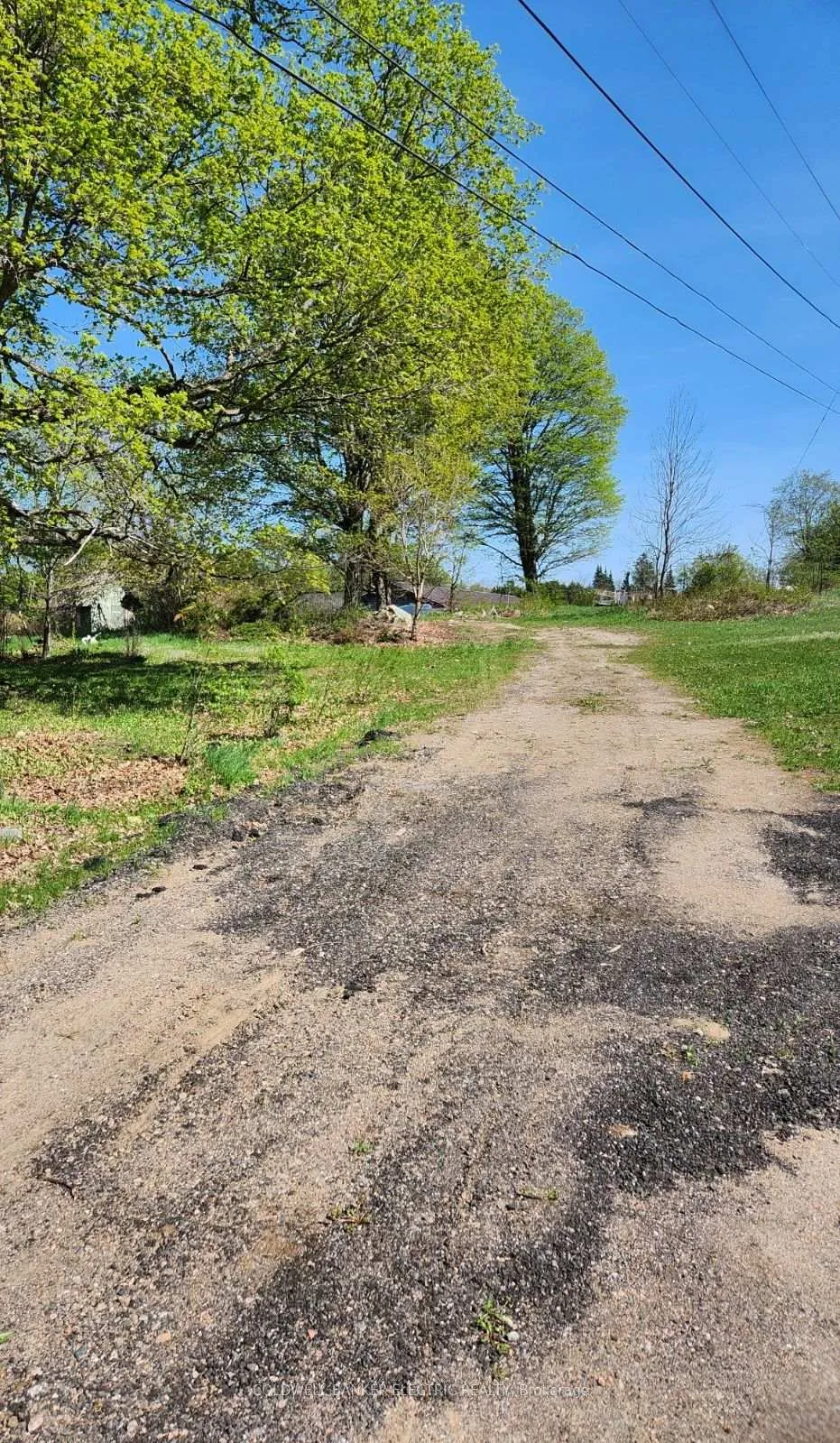 Photo 667 of 25442 Highway 62, Bancroft, Dungannon Ward — HOMEH