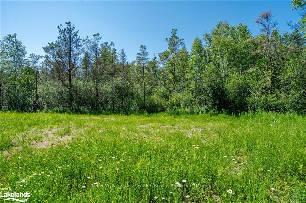 Photo 11 of LOT 99 Marshall Road, Tiny, Rural Tiny — HOMEH