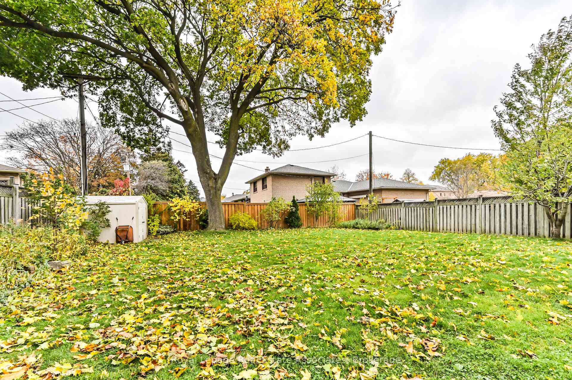 Photo 30 of 39 Shipley Road, Etobicoke, Willowridge-Martingrove-Richview — HOMEH