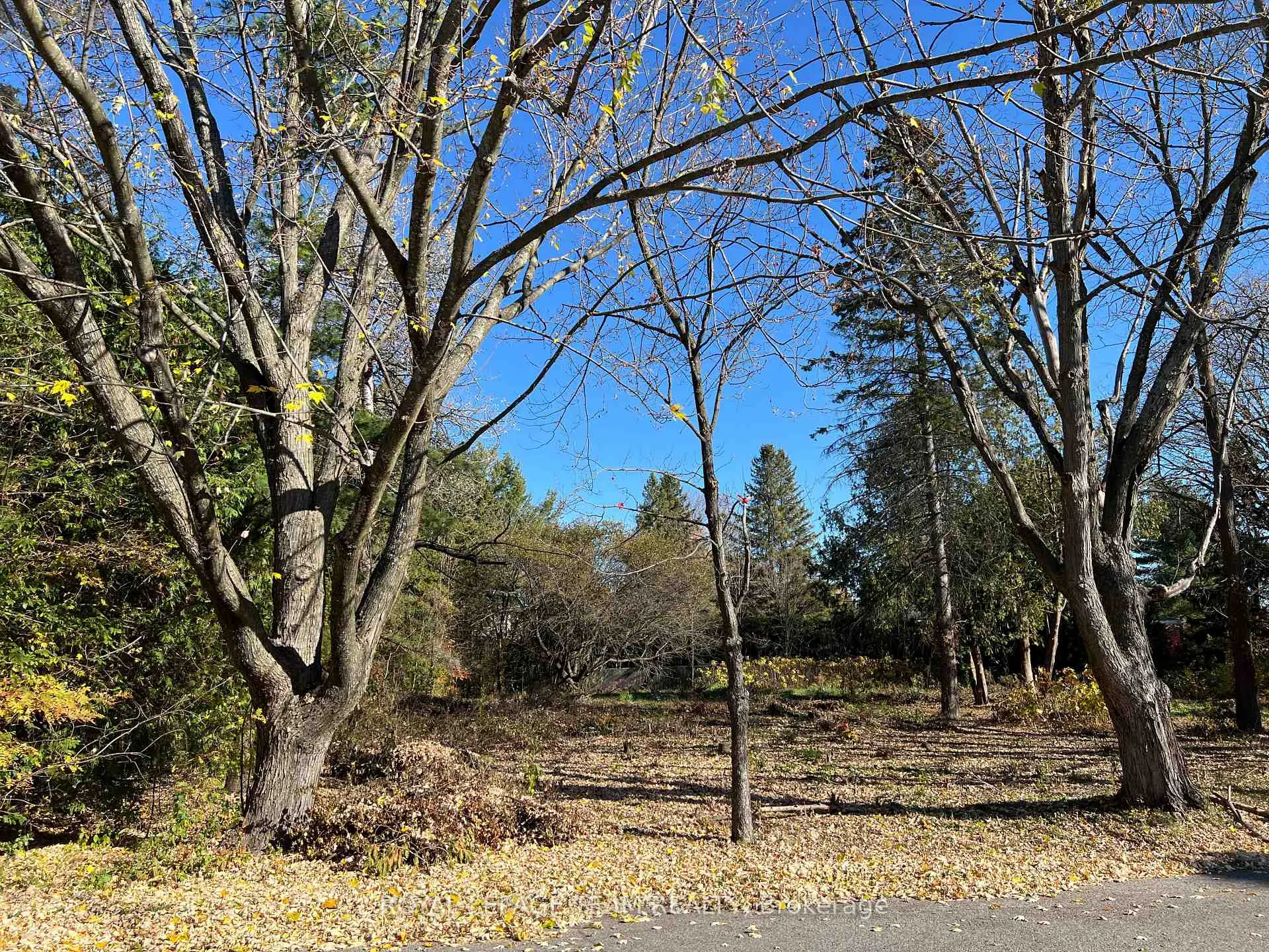 Photo 11 of 39 Rebecca Crescent, Ottawa, Rothwell Heights — HOMEH