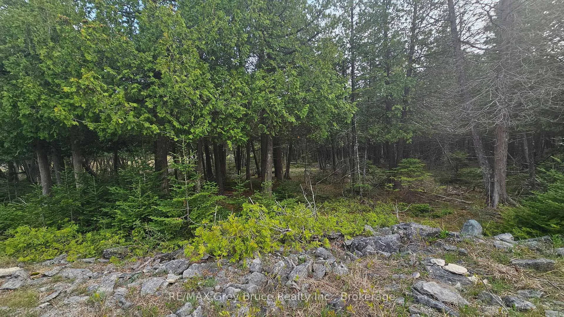 Photo of LT 254 Dorcas Bay Road