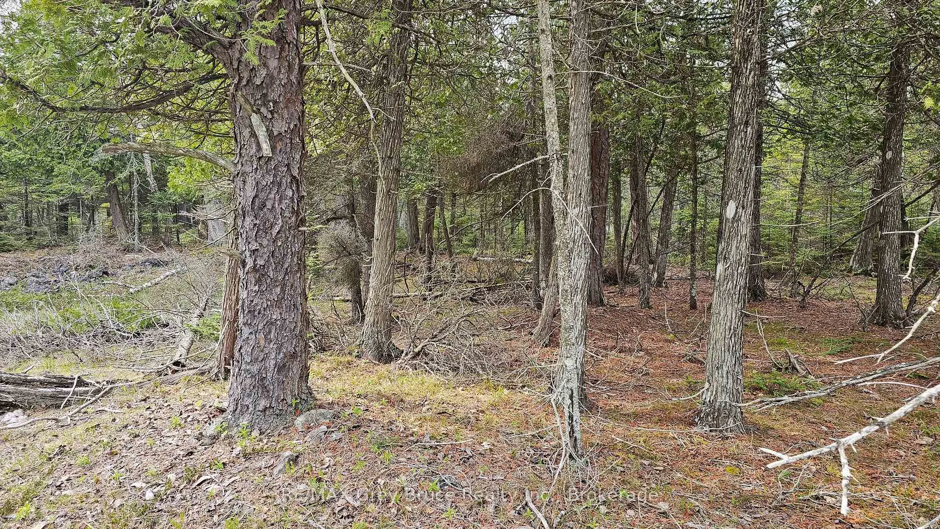 Photo of LT 255 Pedwell Pt. Drive