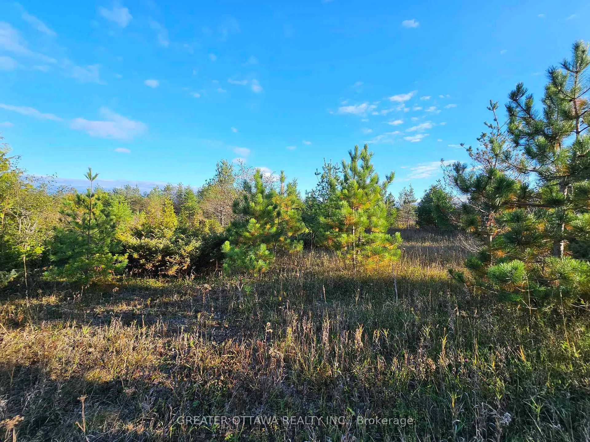 Photo 4 of B22/103 Graham Road, Beckwith, Beckwith Twp — HOMEH