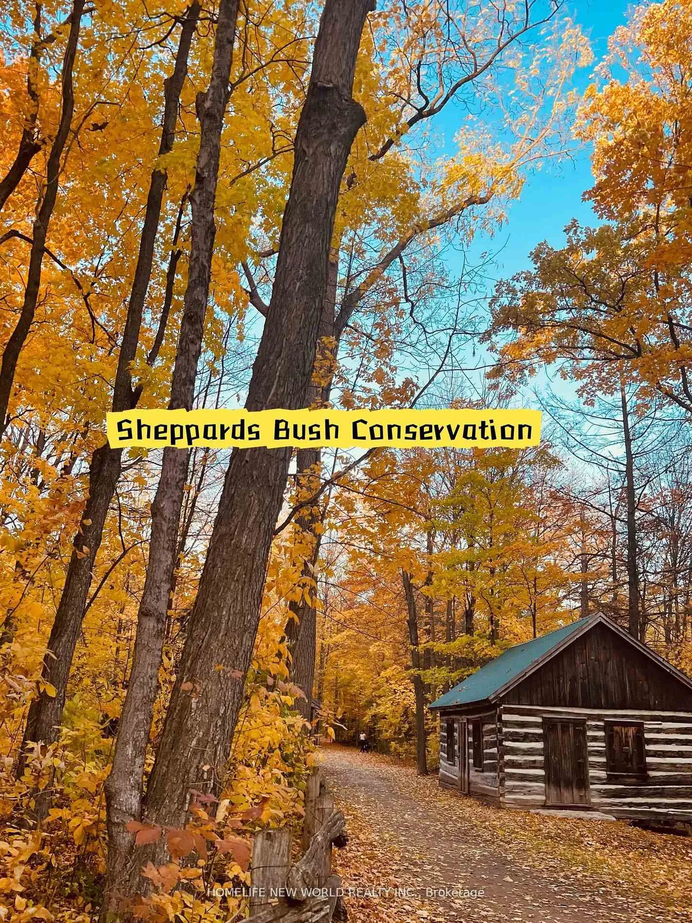 Photo 395 of 36 Strawbridge Farm Drive, Aurora, Aurora Grove — HOMEH